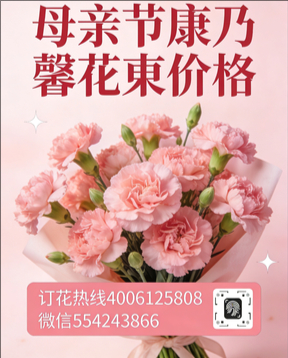 潍坊安丘市花店母亲节康乃馨花束